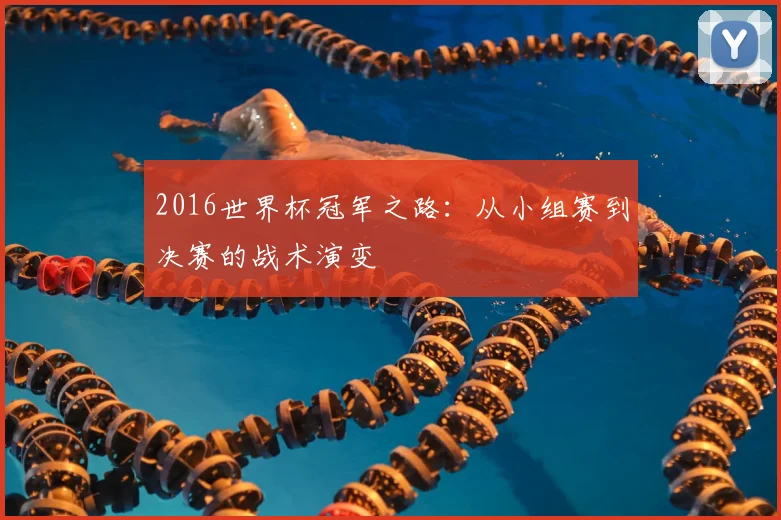 2016世界杯冠军之路:从小组赛到决赛的战术演变