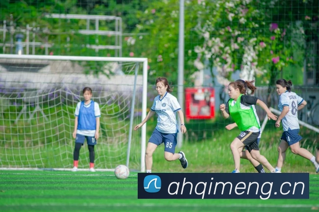 米兰app登陆入口全站App